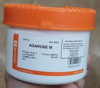 Agarose M, Biobasic