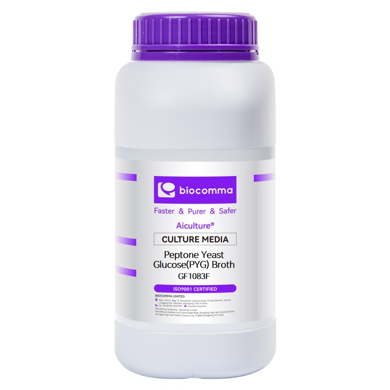 Môi trường vi sinh Peptone Yeast Glucose (PYG) Broth, chai 500g, mã GF1083F, hãng Biocomma, TQ