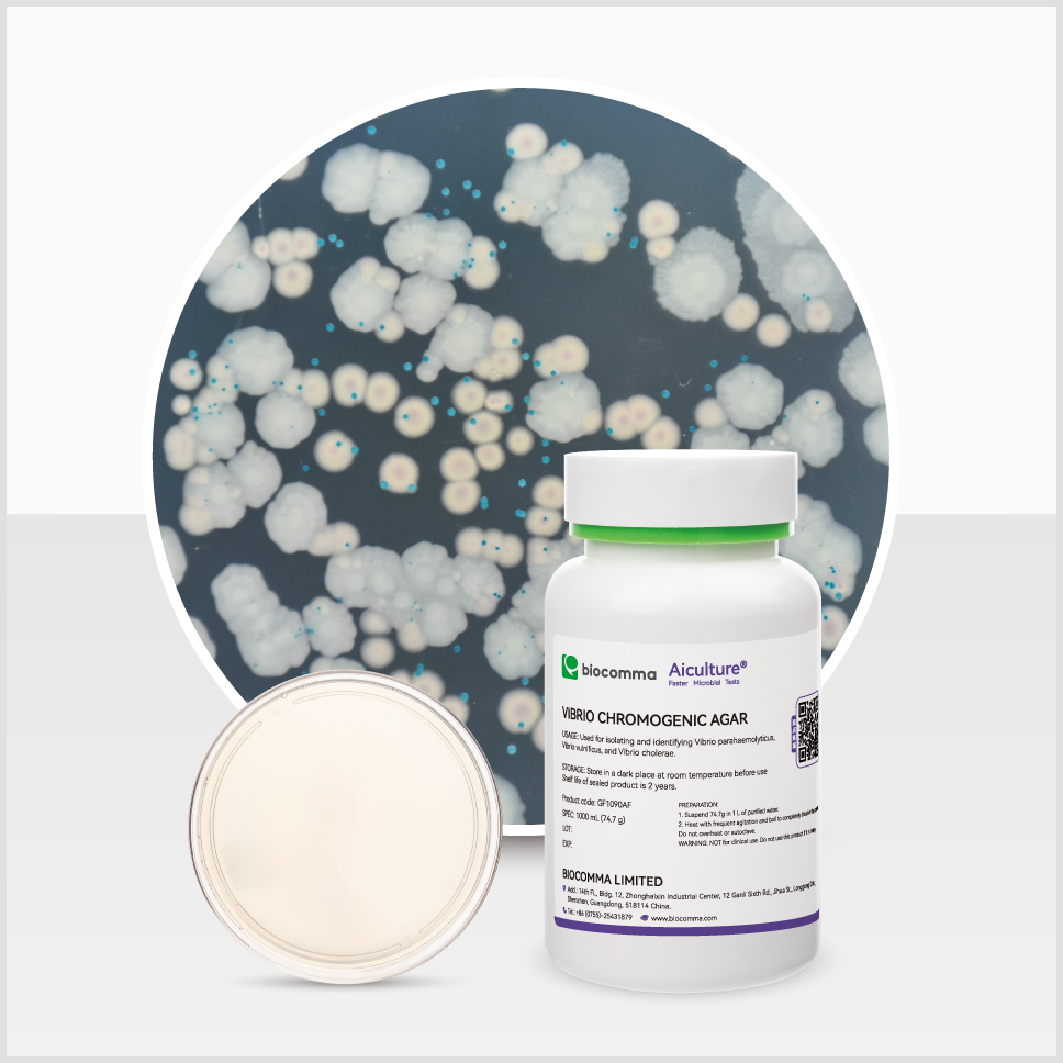 Môi trường vi sinh Vibrio Chromogenic Agar, chai 1000mL, mã GF1090AF, hãng Biocomma, TQ