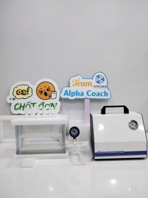 Bộ chiết pha rắn 12/24 vị trí