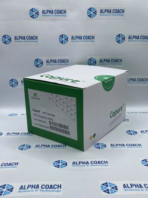 Cột chiết pha rắn SPE Copure® MCX, mã COMCX360, hãng Biocomma, TQ