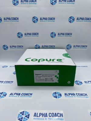 Bộ Làm Sạch Copure® QuEChERS, mã COQ002033H, hãng Biocomma, TQ