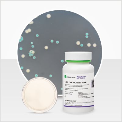 Môi trường vi sinh E.coli Chromogenic Agar, chai 1000mL, mã GF1200AF, hãng Biocomma, TQ