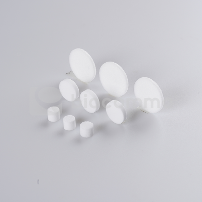 Đĩa chặn (Frits) cho cột SPE