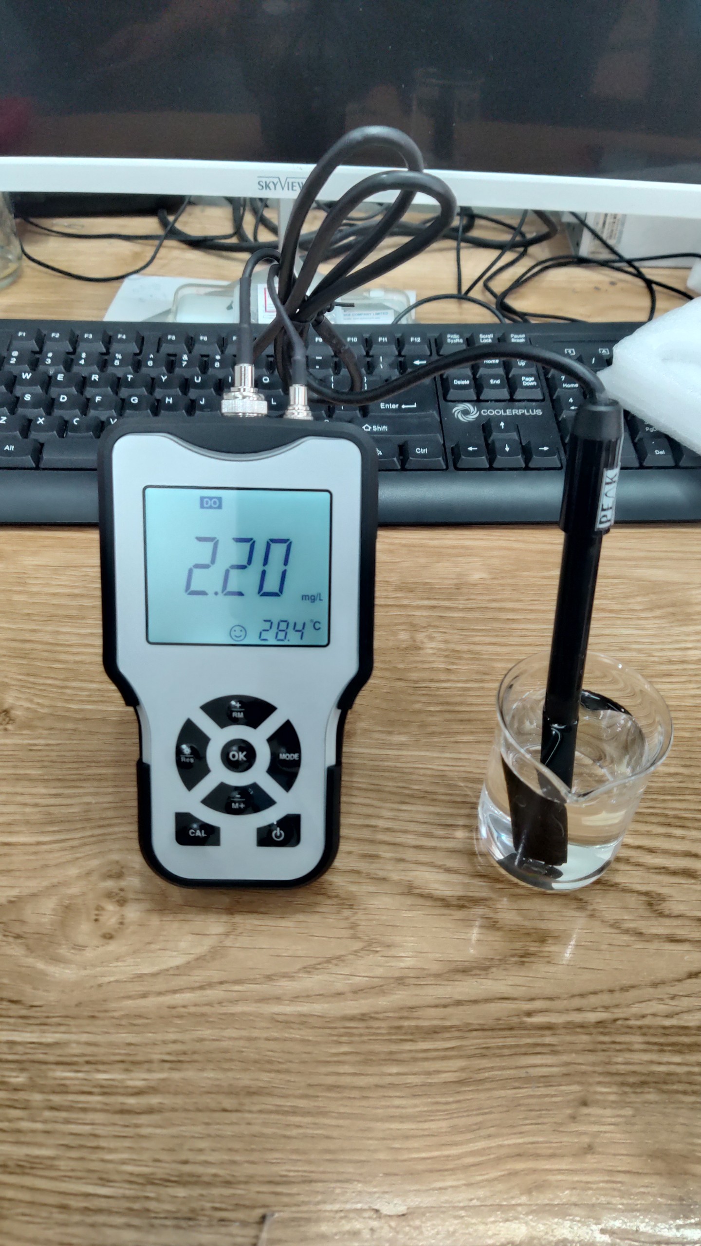 DO Meter