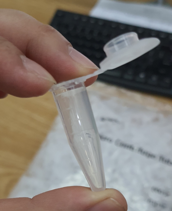Ống Eppendorf 1,5mL - SPL - Hàn Quốc