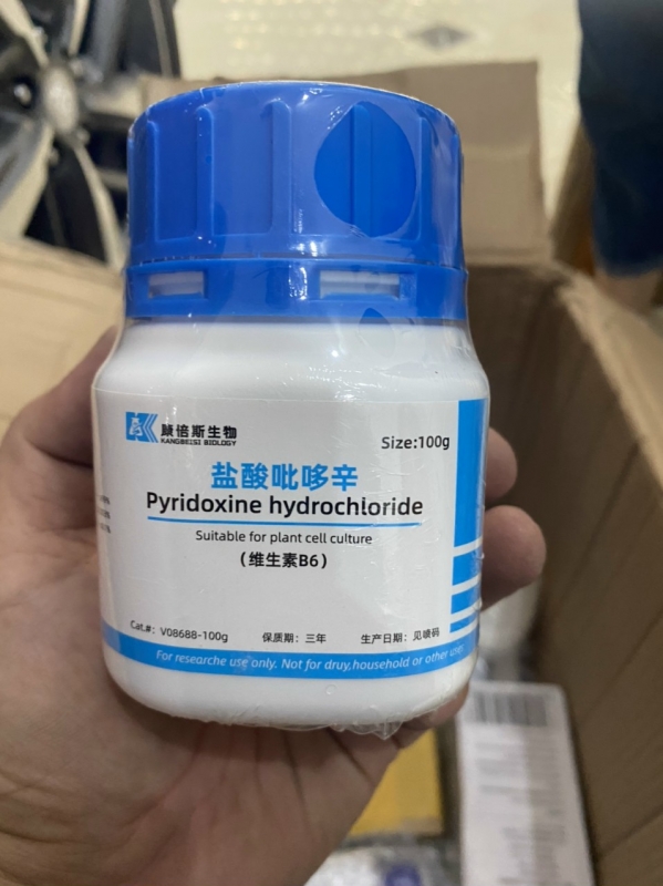 Pyridoxine hydrochloride, Trung Quốc