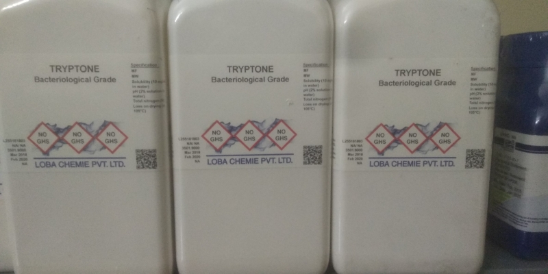 TRYPTONE BACTERIOLOGICAL, Ấn Độ