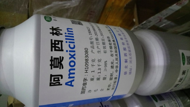 Amoxicilline