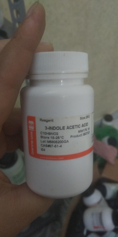 3-Indole Acetic Acid (IAA)