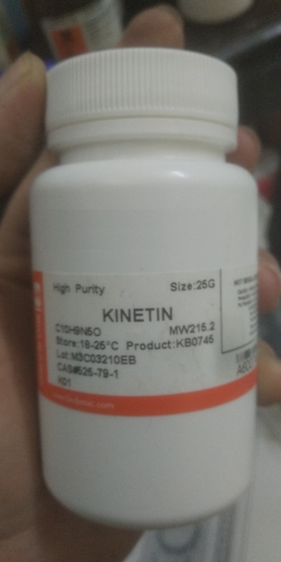 KINETINE